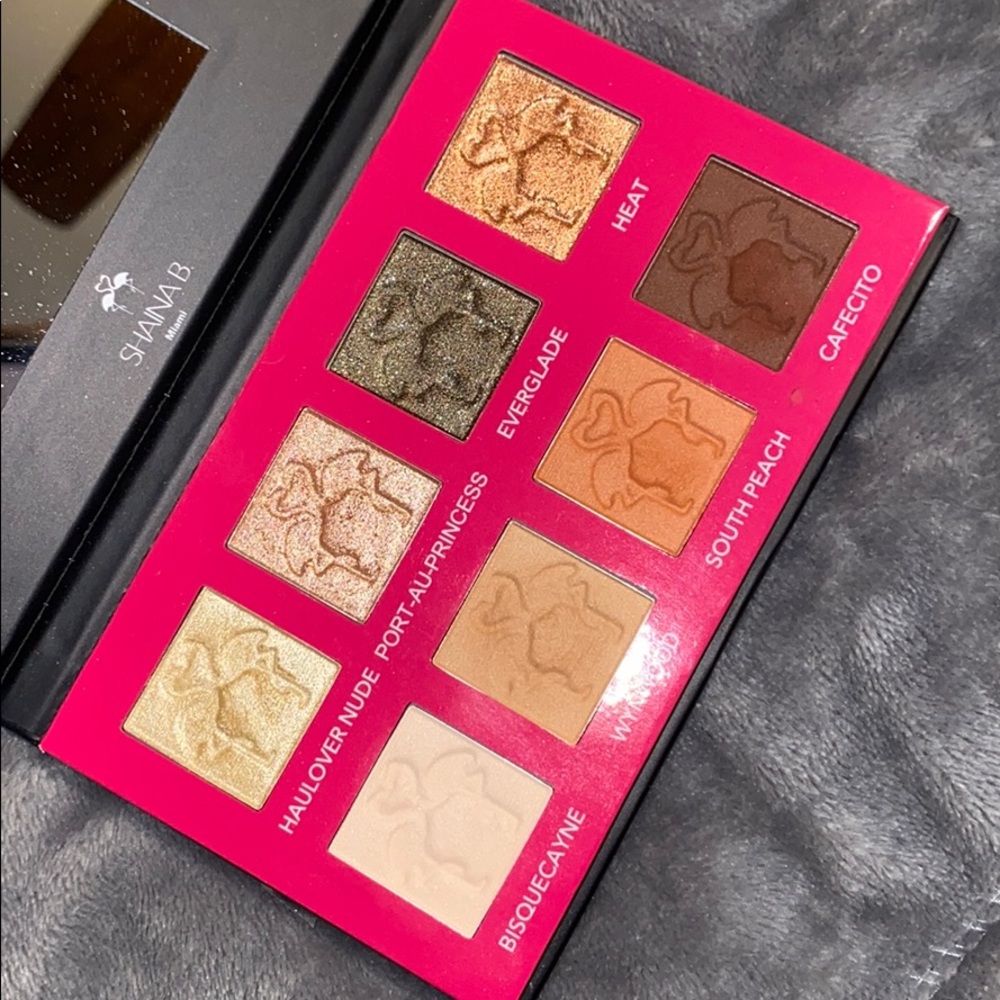 Shaina B Miami pallete